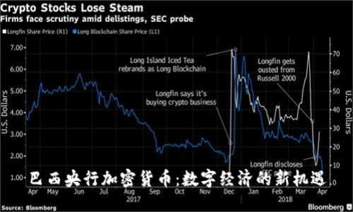巴西央行加密货币：数字经济的新机遇