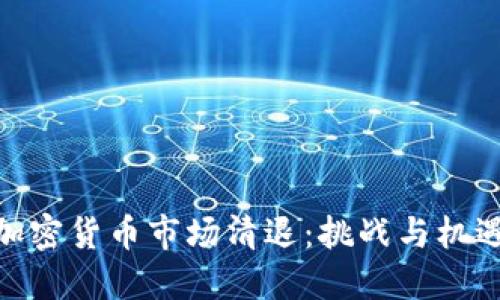加密货币市场清退：挑战与机遇