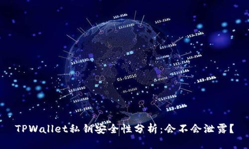 TPWallet私钥安全性分析：会不会泄露？