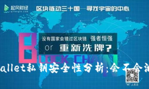 TPWallet私钥安全性分析：会不会泄露？